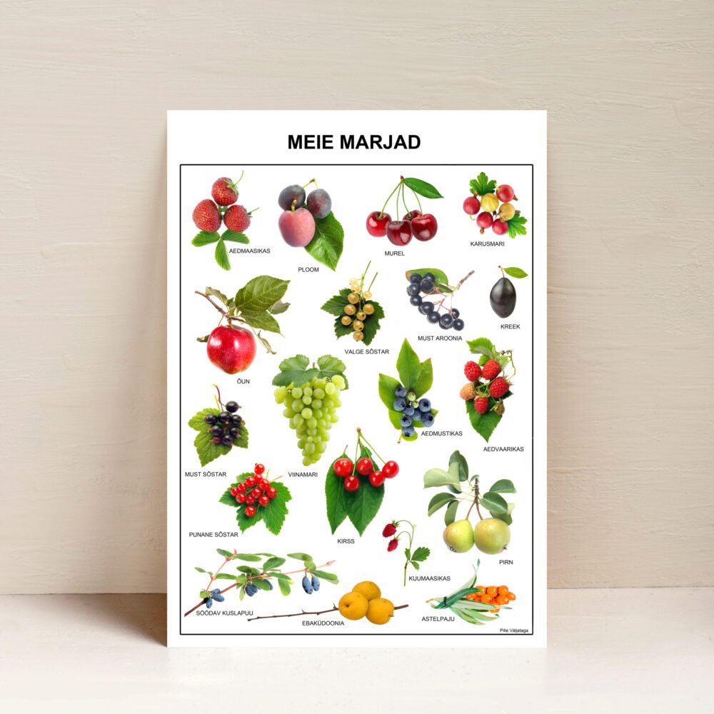 marjad aias