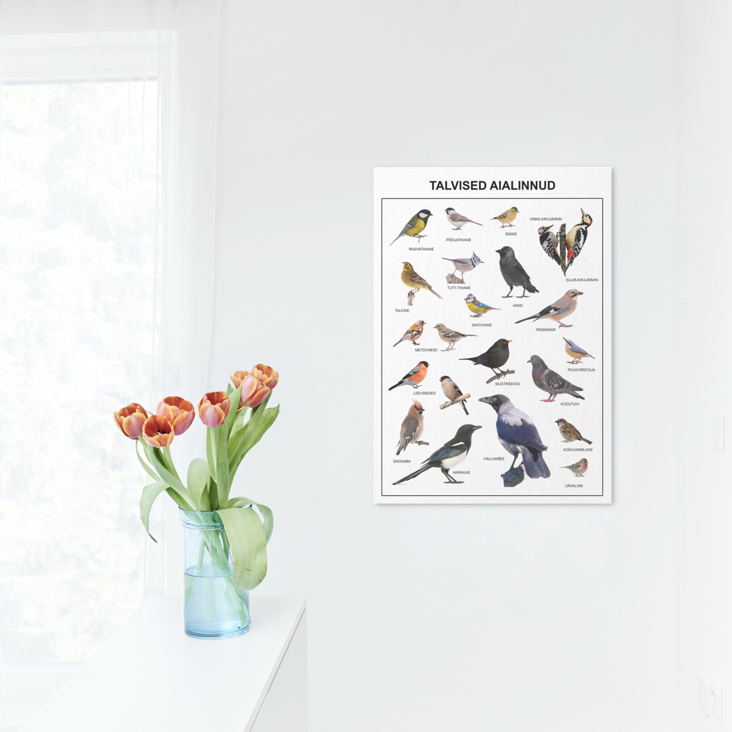 talvised aialinnud eesti linnud eesti keeles plakat poster