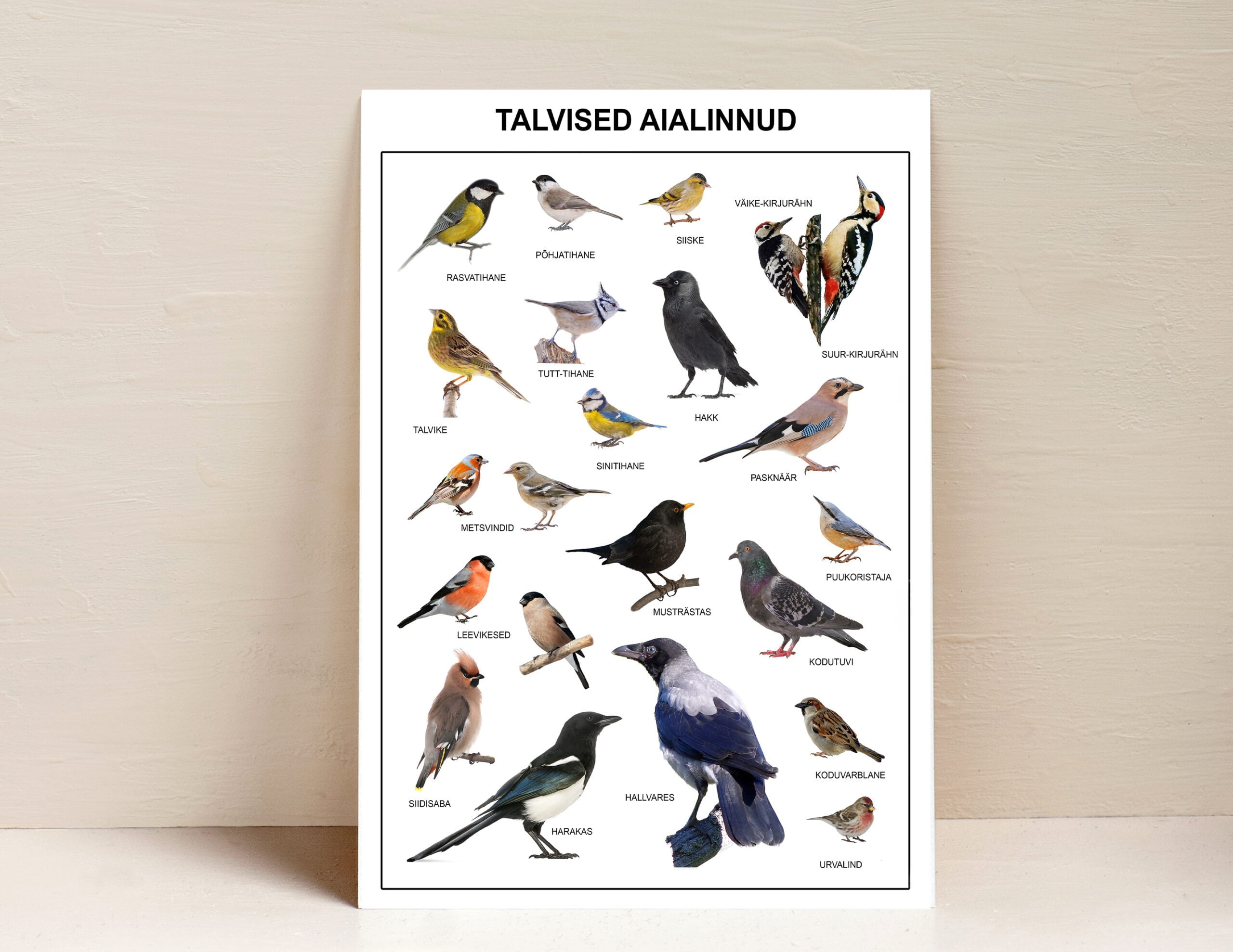 talvised aialinnud eesti linnud eesti keeles plakat poster