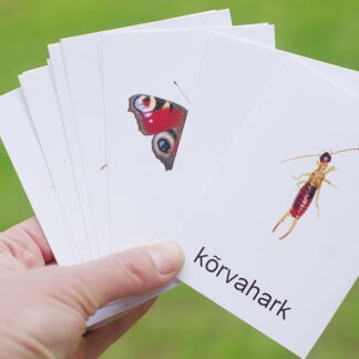 õppekaardid eesti putukad