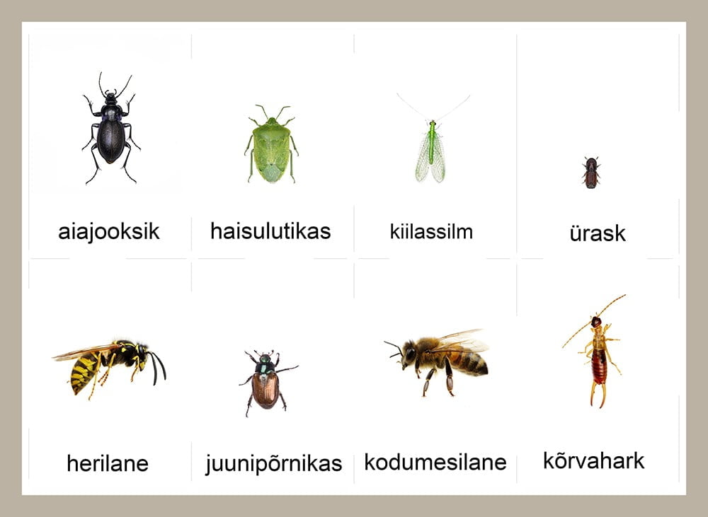 eesti putukad kaart loodus
