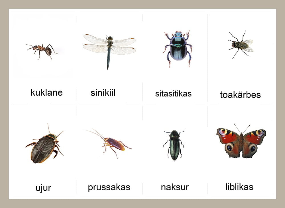 eesti putukad kaart