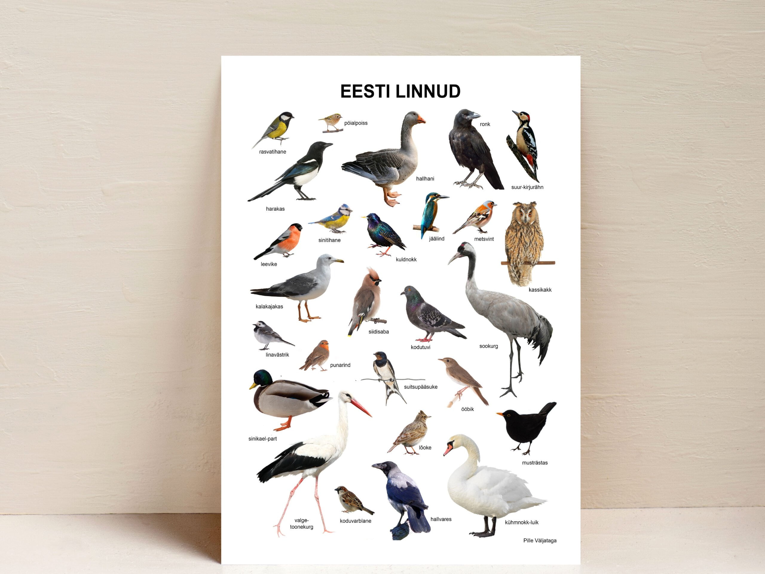 eesti linnud poster plakat