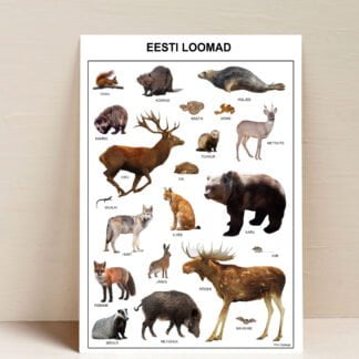 poster plakat õppeplakat eesti loomad